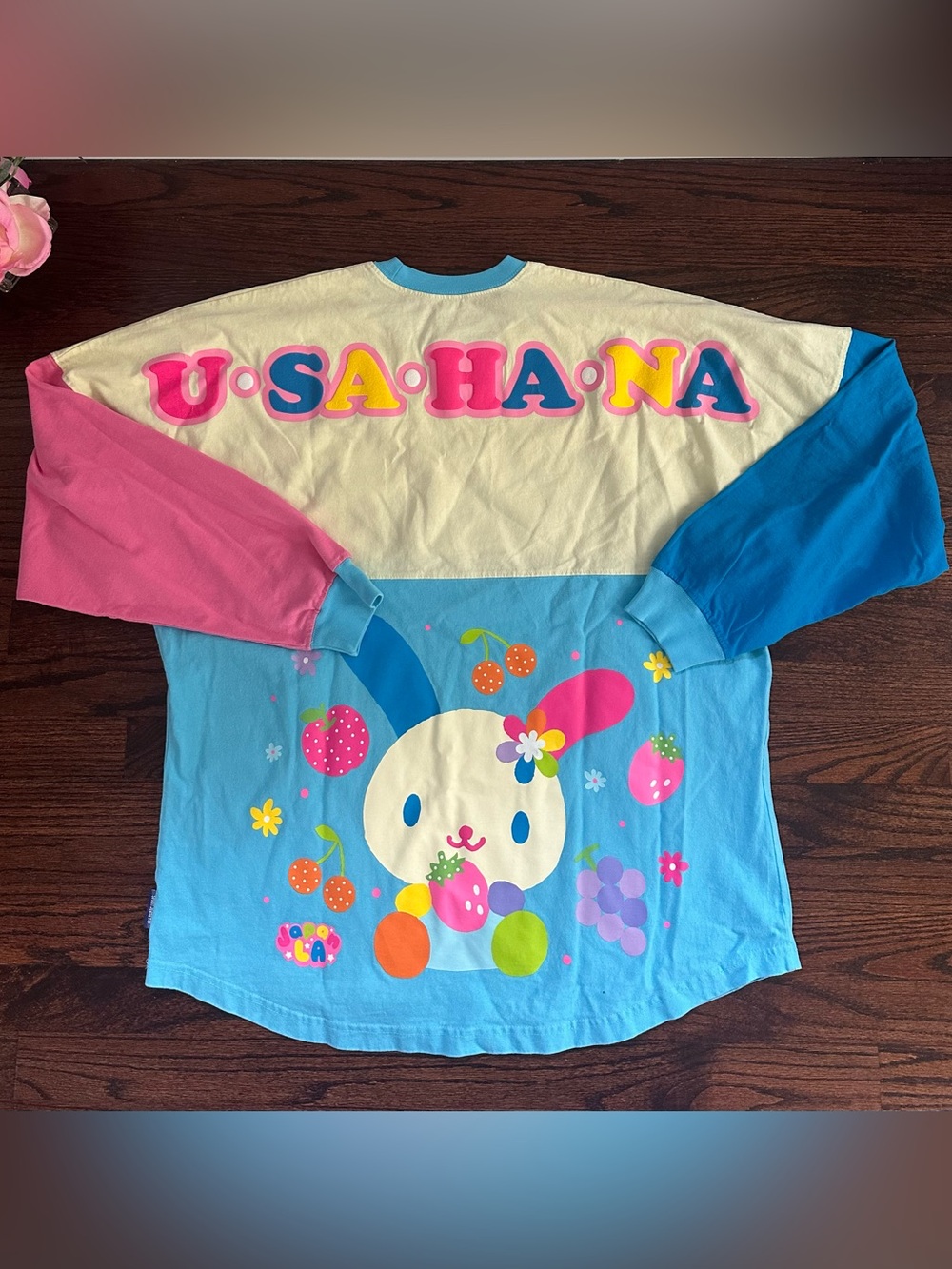 Spirit Jersey Sanrio USAHANA colorblock top, size L